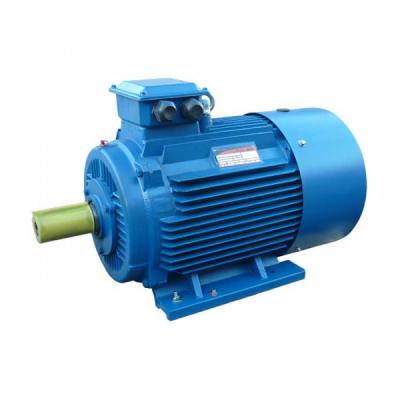 Электродвигатель 5АИ 200 L6 30 кВт 1000 об/мин Лапы (IM 1081)