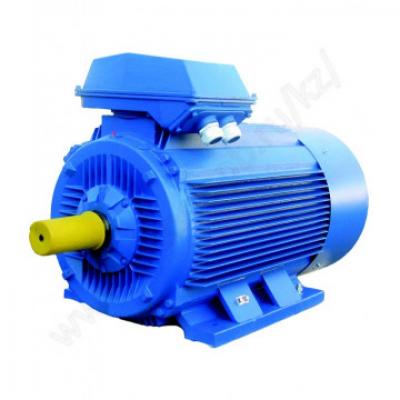 Электродвигатель АДМ 355 MLA8 200 кВт 750 об/мин Лапы (IM 1081)