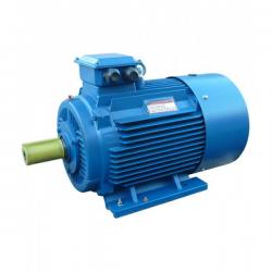 Электродвигатель АДМ 200 L6 30 кВт 1000 об/мин Лапы (IM 1081)